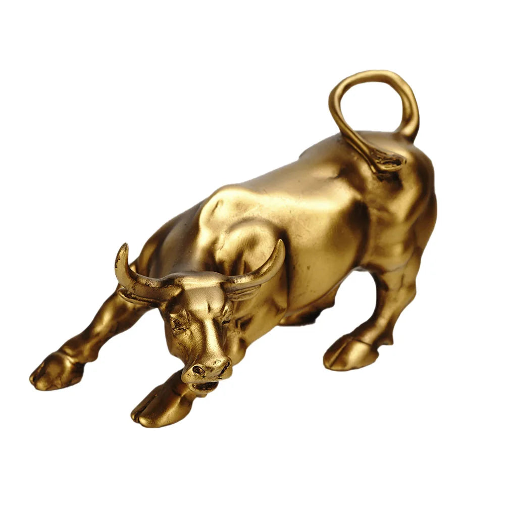 https://ae-pic-a1.aliexpress-media.com/kf/He1aa0142462440ceb73f05113c916e55x.jpg_500x500.jpg_.webp