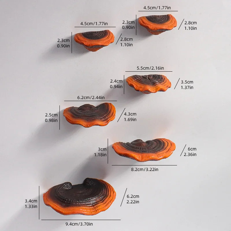 https://ae-pic-a1.aliexpress-media.com/kf/S11a3002dbe84449385b2ea9df021c1f1j.jpg_500x500.jpg_.webp